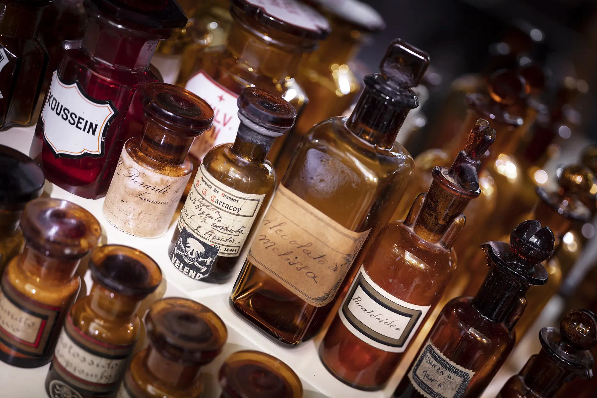 Pharmacie Carlucci 6 Realizzazioni Th.Kohl - Farmacia Carlucci Melfi PZ - gallery 06